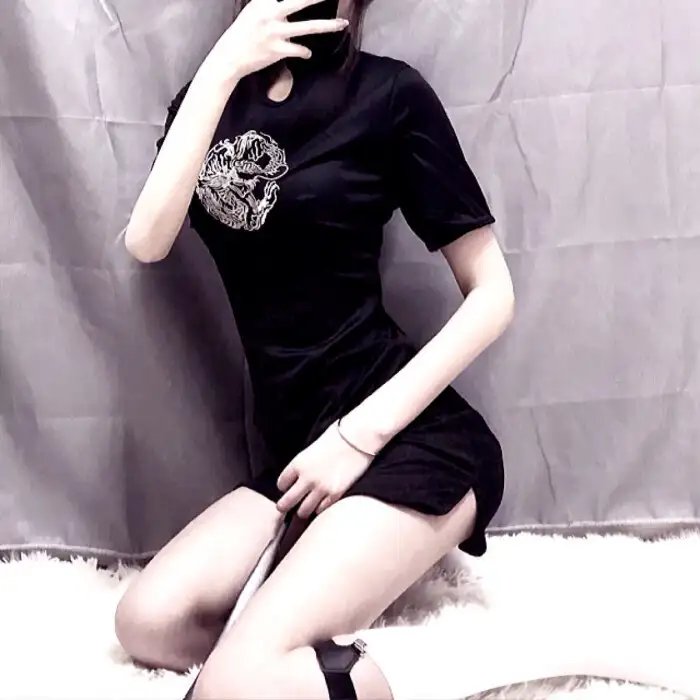 小查与寇弟的顶级冒险
